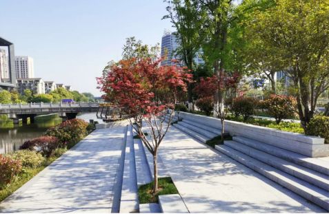 金沙湖区块环境景观提升工程